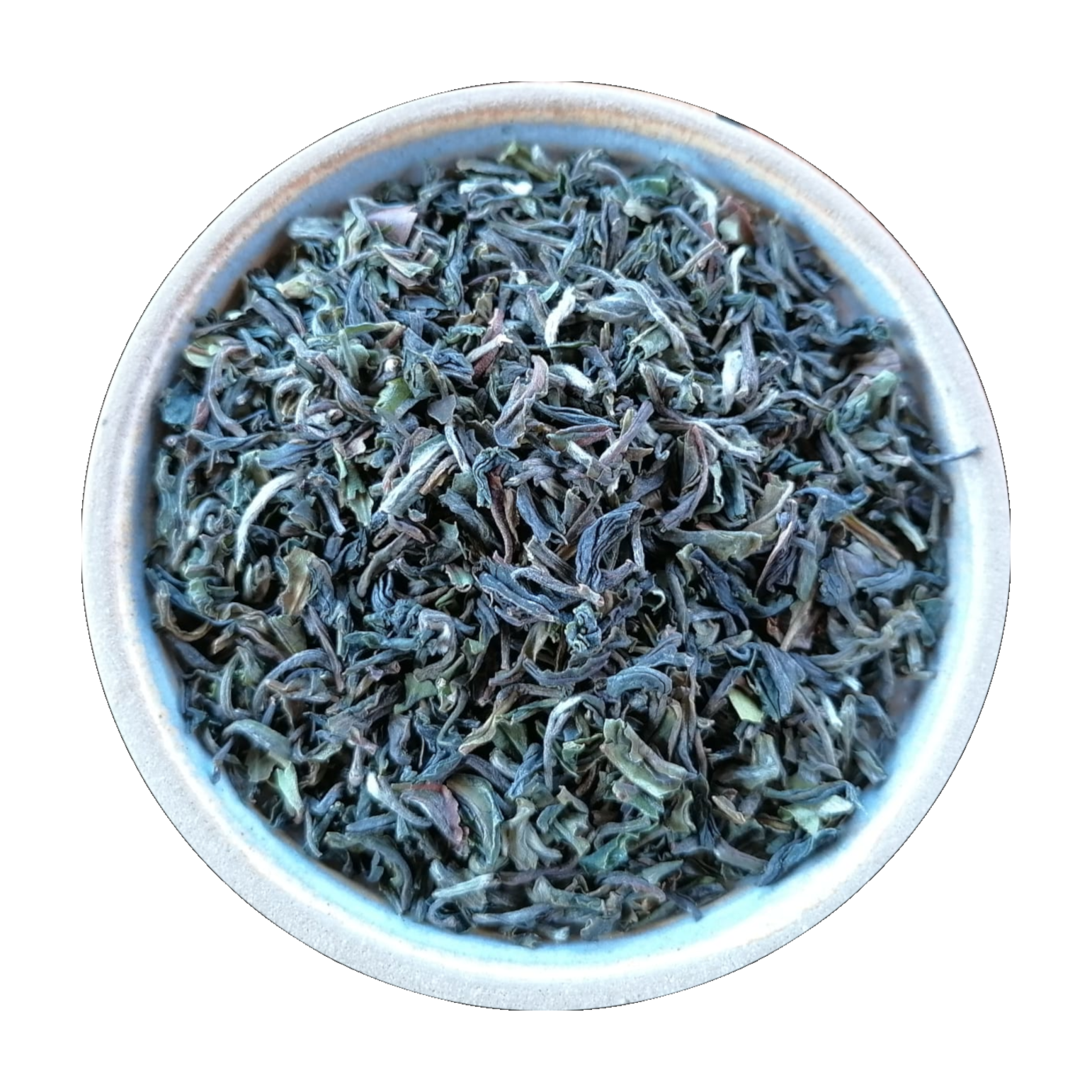 Darjeeling First Flush Singell