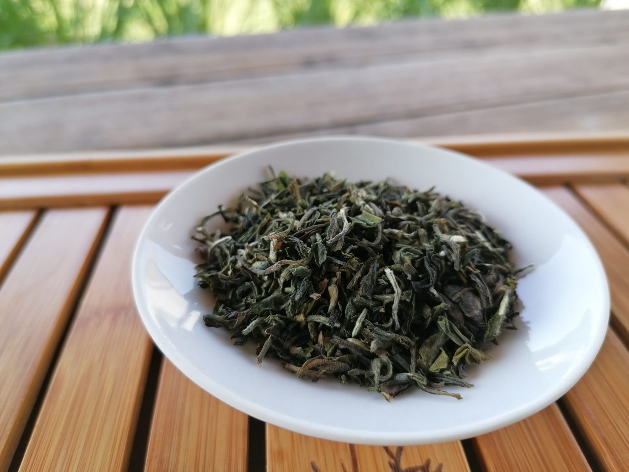 Darjeeling First Flush Singell